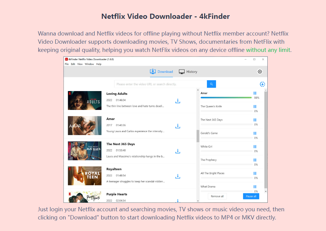 How to Play Netflix Video with Other Video Player - Forum English (EN) -  Stream What You Hear - Forum